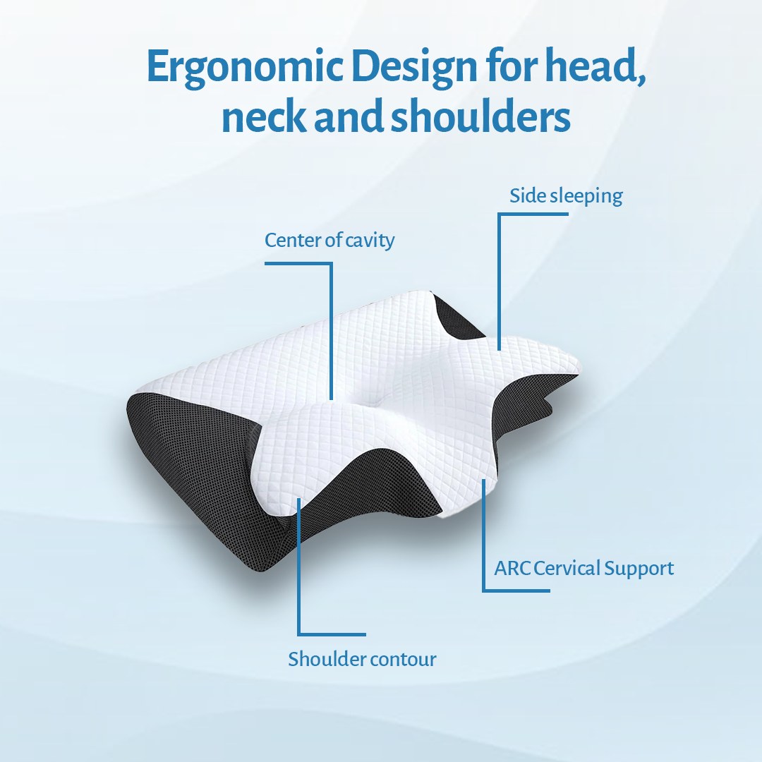 Zenvia - Cervical Sleep Memory Neck Pillow