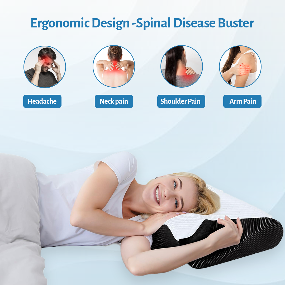 Zenvia - Cervical Sleep Memory Neck Pillow